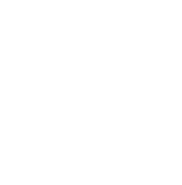White rocket icon